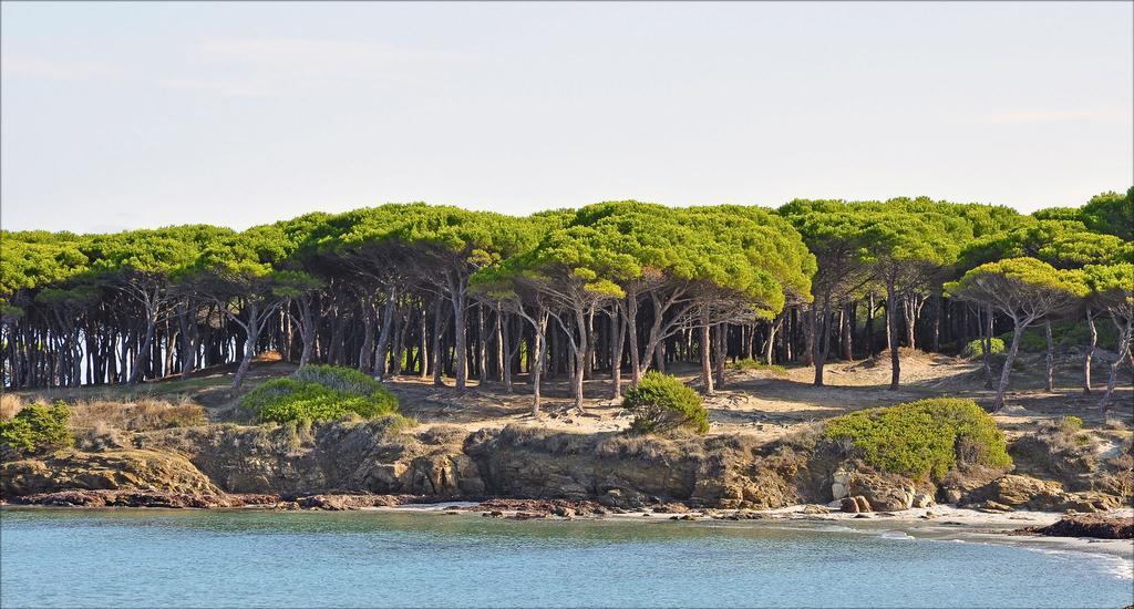 Appartamenti Le Magnolie Budoni Bagian luar foto