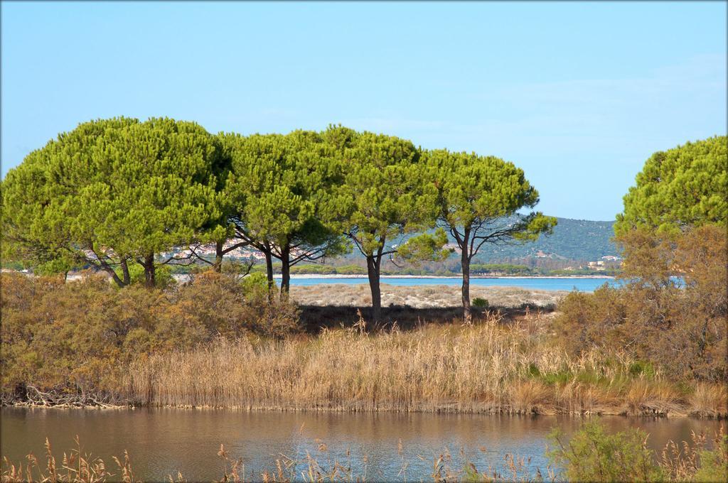 Appartamenti Le Magnolie Budoni Bagian luar foto