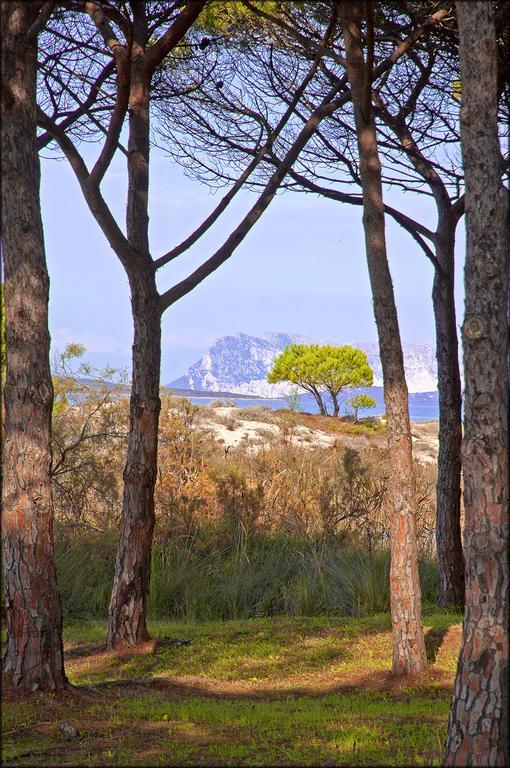 Appartamenti Le Magnolie Budoni Bagian luar foto